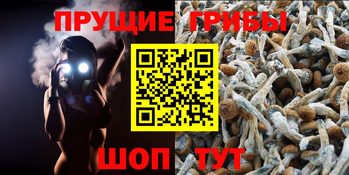 Псилоцибиновые грибы мицелий  Псилоцибиновые грибы мухоморы  Вход с VPN  Новочебоксарск 